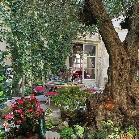 Maison d'hôtes Palais Aoma, Particulier De Luxe En Provence LʼIsle-sur-la-Sorgue